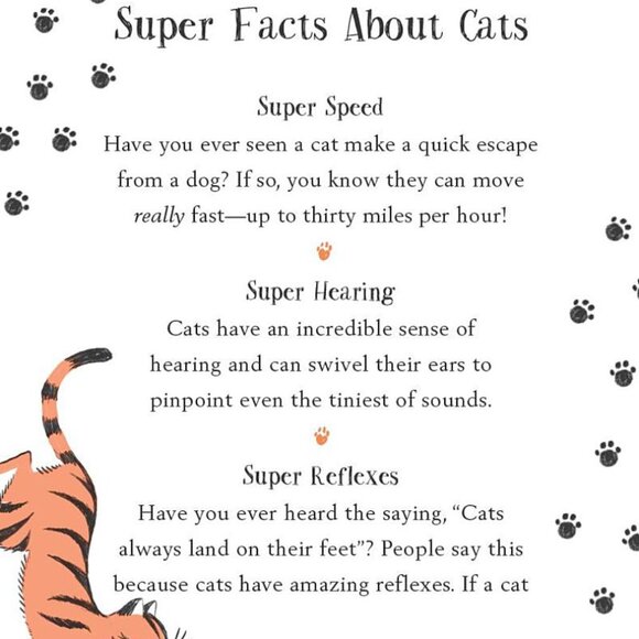 New Kitty Book Series Lot of 12--Homeschooling - Picture 4 of 4